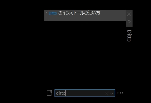 ditto v3 016