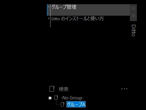 ditto v3 020