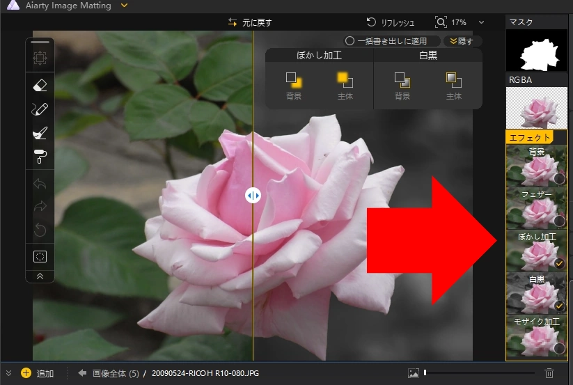 Aiarty Image Matting v2 6 023
