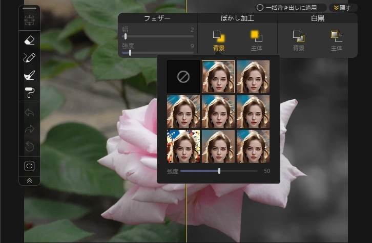 Aiarty Image Matting v2 6 024