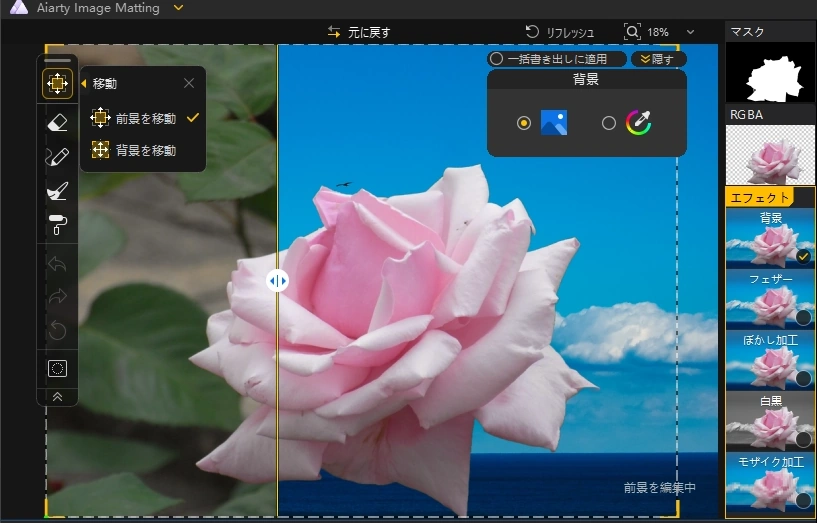 Aiarty Image Matting v2 6 025