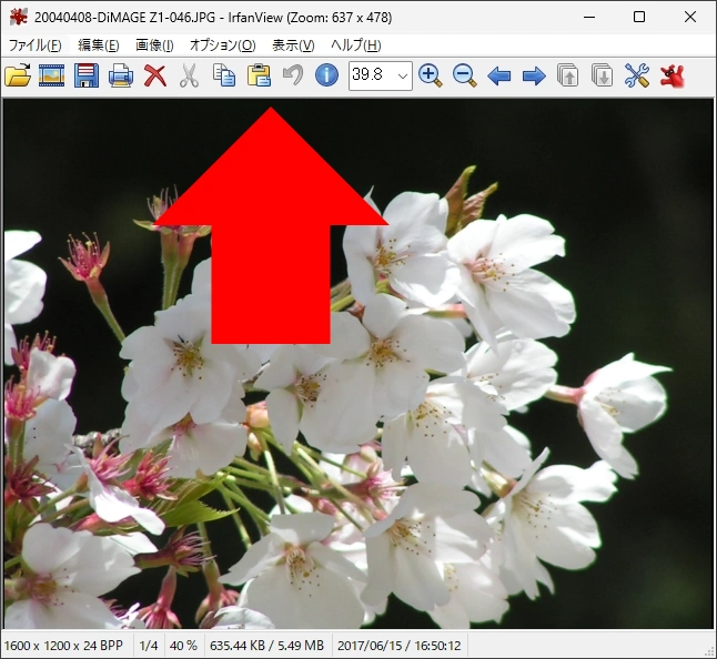 IrfanView v4 024