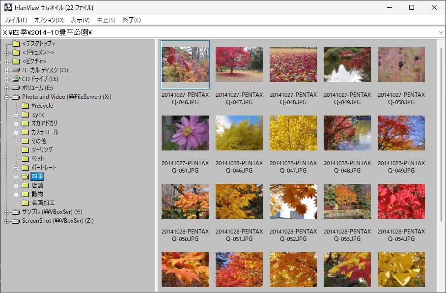 IrfanView v4 025