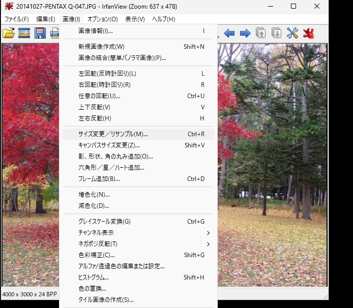 IrfanView v4 028