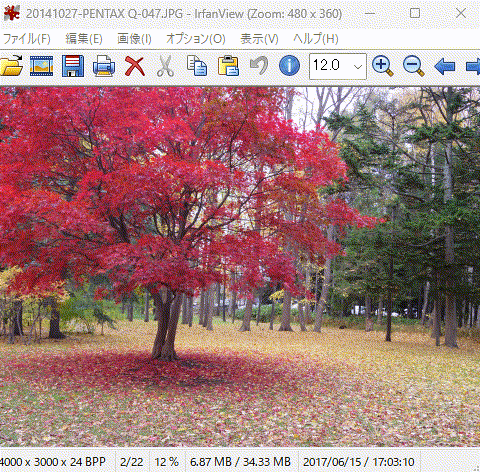 IrfanView v4 030