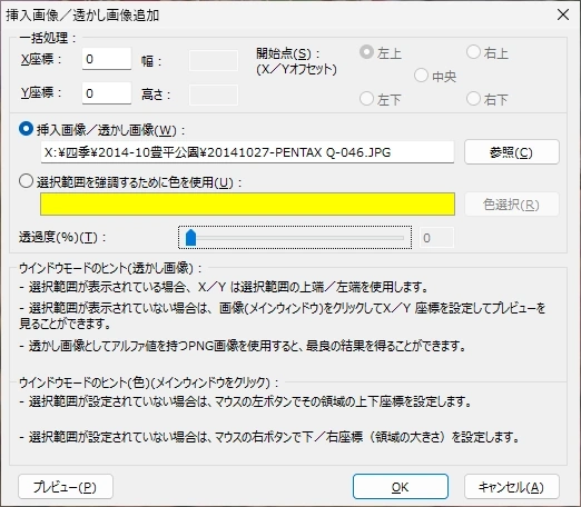 IrfanView v4 031